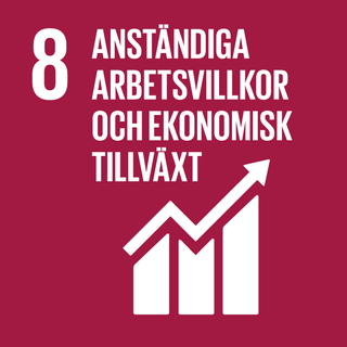Mål 8
