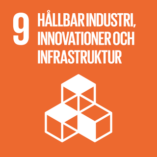 Mål 9